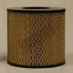 Filtru aer Fleetguard AF25399