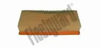 Filtru aer Fleetguard AF25709