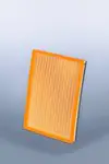 Filtru aer Fleetguard AF27833