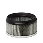 Filtru aer habitaclu Hengst Filter E2923LI