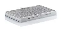 Filtru, aer habitaclu