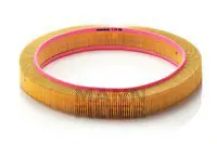 Filtru aer Mann-Filter C42098