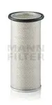 Filtru aer secundar Mann-Filter C17124
