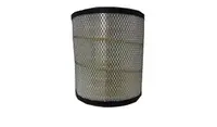 Filtru aer Fleetguard primar AF25199