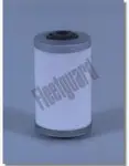 filtru combustibil Fleetguard FF4141