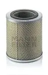 Filtru combustibil Mann-Filter P19185