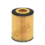 Filtru ulei BMW Hengst Filter E820H D245