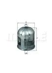 Filtru ulei Mahle Original OZ3D